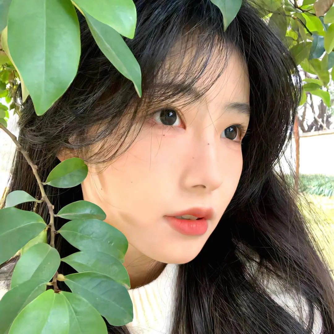 中华儿女