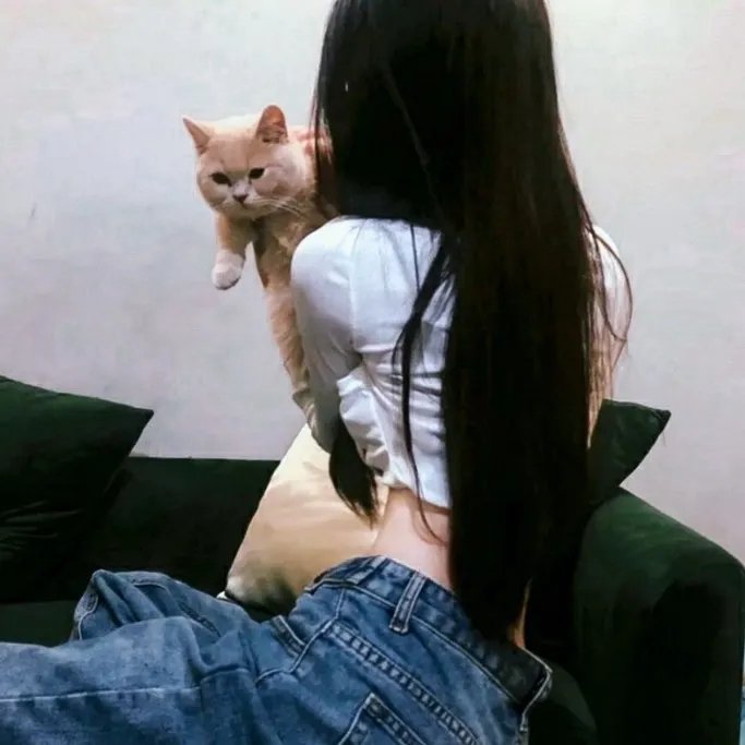 终极笔记